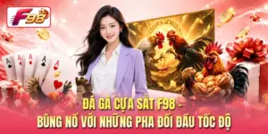 Đá Gà Cựa Sắt F98 - Bùng Nổ Với Những Pha Đối Đầu Tốc Độ